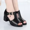 Été Med 2024 Femmes Sandales Talons Peep Toe Chaussures Pantoufles Mode Desiger Pu Cuir Casual Sexy Pompes De Mariage Chaussure Womansandals 30349 Mps 43698 Mps 49117 mps