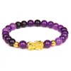 Bracelets porte-bonheur Agates vertes perles Bracelet Feng Shui Pixiu pour femmes hommes rayé multicolore Jades Bracelet richesse bonne chance