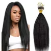Loop Micro Ring Hair Extensions 100% cheveux vierges humains Kinky Straight