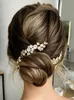 Headpieces Luxury Rhinestone Bridal Hair Comb 3PCS Wedding Jewelry Set Bride Clips For Party Headdress Women Ornaments