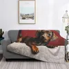Filtar Dachshund Dog Filt Beddrage Bed Plaid Double For Baby Bedge -Breads Bedsblankets