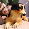 Lifelike Dog Cuddle Simulation Puppy Cuddly Pet Birthday Gift For Children Kawaii Room Decor Present J220704