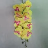 Dekorativa blommor kransar huvud Artificiellt silkeorkidé av hög kvalitet fjärilsmall phalaenopsis falsk blomma för bröllop hemfestival deco