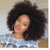 Afro Winky Wave Wigs African Curly Hair Curl Spiral Spiral Curl