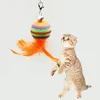 Toys de gato engraçado teaser de animais de estimação listras coloridas Fedas Substituição de bola Acessórios da cabeça com Bellcat