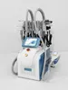 7 In1 Cryolipólise Gord Machine de congelamento de gordura Criagem Máquina de emagrecimento com almofada a laser 40kCavitation RF Double Chin Remoção Perda de gordura