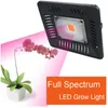 Grow Lights 220V Plant Light Indoor Outdoor Waterproof 150W Full Spectrum COB LED LightGrow