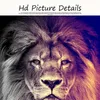 Löwen, wildes Tier, König der Löwen, Leinwandkunst, Malerei, Poster und Drucke, Cuadros-Wandkunstbild für Wohnzimmer, Heimdeko