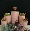 5 pièces cylindre en métal pilier support support gâteau de mariage fleur artisanat décor colonnes de piédestal de mariage pour fête de mariage événement fournitures barre de bonbons