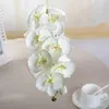 زهور الزهور الزهور أكاليل جميلة ديي phalaenopsis الفراشة الاصطناعية أوركيد الحرير زهرة الزفاف