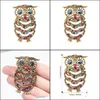 Pinnen broches sieraden blauwe ogen email pin strass uil broche dier voor vrouwen mannen kleren sjaal gespog kraag pi dhfbg