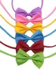 19 colori Pet Tie Tie Cravatta Colletto Accessori Flower Decoration Forniture Pure Color Bowknot Cracktie IA626