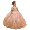 Robes de fille jolie robe de bal princesse fille de fleur pour le mariage 3D floral appliqué enfant en bas âge pageant longueur de plancher plffy tullegirl's