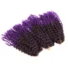 8 Zoll kurze Marlybob Crochet Zöpfe Haarverlängerung synthetische Ombre Flechtverlängerungen kleine Afro verworrene lockige Twist Braid Haar LS05