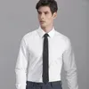 Herren-Hemden, hochwertiges Herren-Hemd, reguläre Passform, langärmelig, einfarbig, für formelle Geschäftstreffen, Anzug, weißes Hemd für Herren