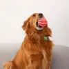 犬のおもちゃの食品漏れボールリリーフバイト抵抗性モル歯クリーニング歯ブラシ教育ペットアクセサリーサプライ