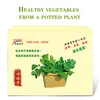 Semi Tian Lifang Balcony Piantatura senza pesticidi in vaso verdure sane
