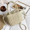 HBP Grass Package Korea INS Bag Handbags New 2021 Messenger Bag Wild Shoulder Bags Borsa da spiaggia