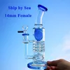 Torus zapadnięcie Perc Hookah Gave Glass Bongs Prysznic 14 mm dab rig gruba palące rury wodne