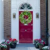 Decorative Flowers & Wreaths Wreath Storage Container 20 Inch Patrick's Summer Over Door Decor Outside Signs For Front PorchDecorative