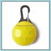 MTI -kleuren LED DOG PET Hanger Colorf Licht knipperende Luminous Collar Supplies Glow Safety Tag Jllxsn