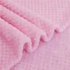 Mjuk varm flanellfilt för sängar Solid Pink Blue Coral Fleece Mink Throw SOFA Cover Bedste -Bread Fluffy Plaid Filtar 220527