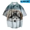 Men's Casual Shirts Siberian Husky Dog Print Short Sleeve Fishon Men's Women T Shirt Unisex Blouses TopsMen's