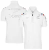 Camisetas masculinas F1 Fórmula 1 Team Polo Camisa nova lapela com o mesmo personalizado F4wi Svz3