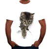 Erkek Tişörtler Yavru Kedi Yaz Günlük 3D Baskı Erkek ve Kadın O-Neck Street Moda Kısa Kollu Üst T-Shirtmen