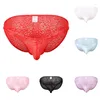 Underpants Men Underwear Sexy Low Rise Lace Briefs See Through Breathable Male Intimates PantiesUnderpants
