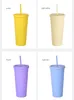 Stock 22OZ TUMBLERS Gobelets en acrylique de couleur mate avec couvercles et pailles Gobelet réutilisable en plastique à double paroi FY4489