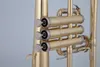 Wysokiej jakości BB Flugelhorn Bell Yellow Brass Pleated Musical Instrument Professional z akcesoriami skrzynek