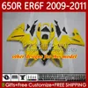 Kawasaki Ninja ZZR600 için OEM Vücut Enjeksiyon Kalıbı 05-08 Mavi Alevler ZX ZZR-600 600 CC 05 06 07 08 Cowling 38HC.231 Stok ZZR 600 600CC 2005 2006 2007 2008 100% Fit Couring Kiti