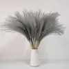 Decorative Flowers & Wreaths Real Reed Small Pampas Grass Wedding Bunch Phragmites Ornamental Bulrush Flores Secas Natural Home Decor Dried