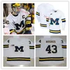 XFLSP niestandardowe Michigan Wolverines zszyty hokejowy Jersey Quinn Hughes Tyler Motte Dylan Larkin Zach Werenski Zach Hyman Kyle Connor Carl Hageli