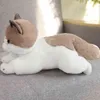 Cm prawdziwe życie pluszowa kota zabawka kawaii pokój dekoracje softowe nadziewane lalki symulacja zwierząt kotek dla dzieci prezent J220704