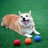 Giocattoli per animali domestici indistruttibili masticabili palline giocattolo con giocattoli interattivi a corda per palle da cucciolo di grandi dimensioni sfera solida in gomma rimbalzante