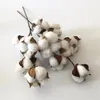 Decorative Flowers & Wreaths Head Dried Flower Artificial Cotton Branch Single Simulation Wedding Decoration For Home Party OfficeDecorative