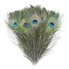 10 pcs En Gros Belle Naturel Autres Arts et Artisanat Paon Plume Épée De Mariage Maison Vase Partie Accessoires Grand Oeil Paon Plumes