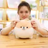 2022 Stuffed Animals Wholesale 40cm Auspicious beginning Stuffed Animal Shiba Inu Plush Toys Anime Corgi Kawaii Dog Soft Pillow Gifts for Boys Girls