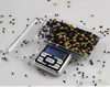 Mini Electronic Digital Pocket Jewelry Scale Balance Pocket Gram LCD Display Scales 100/200/500G x 0,01G och 500G x0,1G