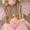 Meisjesjurken 0-24 maanden babymeisjes formele jurk baby schattige roze kanten prinses trouwfeest jurk korte mouwen tutu