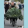 Andere Gartenlieferungen Terrasse Rasenhaus 100 Stück/Packsamen seltene NT Russische Kohlbonsai Gemüse Vitamin Aerobic Topf schnell Anbau