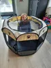Portable Folding Pet Tent Dog House Octagonal Cage For Cat Playpen Puppy Kennel Easy Fence Outdoor Big Dogs 220510
