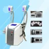 Trois poignées Cryo Cavitation de gel de graisse à 360 degrés amincissant la machine équipement de mise en forme du corps multifonctionnel 40K Lipolaser de cavitation RF poignée pour le visage et les yeux