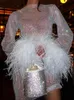 Fritidsklänningar Sexig Mesh Miniklänning Kvinnor Mode Fjädrar Tofs Hel ärm Genomskinlig sommar Rosa Shinny Club Party Outfit