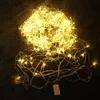 Strings LED Light String 3 Meters 300 Lights Wedding Holiday Christmas Decoration Curtain Romantic StringLED