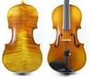 antico violino