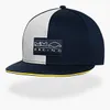 2024 Nieuwe F1 Kampioen Cap Cap Formule 1 Team Driver Racing Caps Mannen Vrouwen Casual Gebogen Rand Baseball Cap Zomerhoed Geborduurde Cap