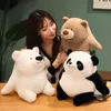 CM Cartoon Plush White Bear Panda Toy Teddy Pillow Stuffed Soft Dolls for Children Girls Gift J220704